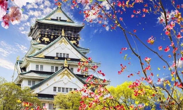 Khám phá thành phố Osaka: Vé xe buýt hai tầng mui trần